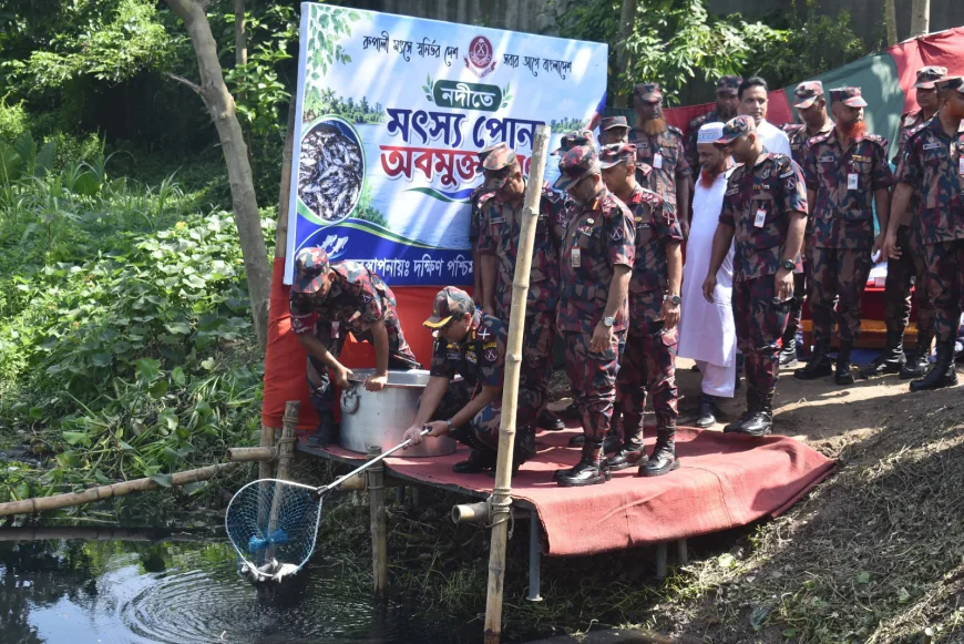 যশোরে নদীতে মাছের পোনা অবমুক্ত করেছে বিজিবি