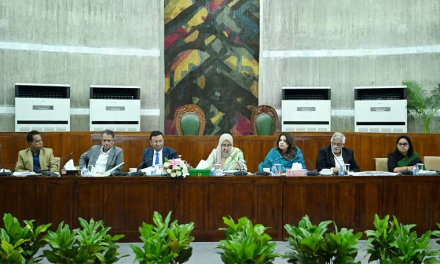 স্থায়ী কমিটি: শেখ হাসিনাকে ফেরাতে কূটনৈতিক উদ্যোগ অব্যাহত