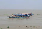 ইলিশ প্রজননে নিষেধাজ্ঞায় পদ্মা-মেঘনার অবতরণ কেন্দ্র ফাঁকা