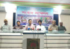 মিরপুরে পাঁচ লেগুনা স্ট্যান্ড দখল ও চাঁদাবাজির অভিযোগ, গ্রেপ্তারের দাবি মালিক-শ্রমিক ইউনিয়নের