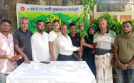সিরাজগঞ্জের বিভিন্ন শিক্ষা প্রতিষ্ঠানে ৫ শতাধিক গাছের চারা রোপণ