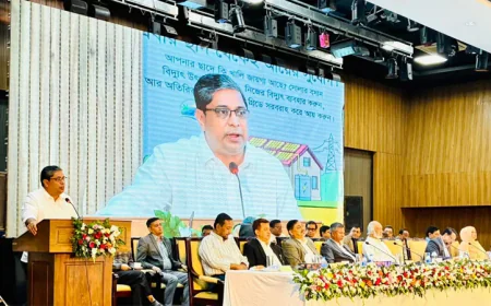 প্রধানমন্ত্রীর বাসভবনের সৌরবিদ্যুৎ থেকে জাতীয় গ্রিডে ১২০০ ইউনিট: মীর শাহে আলম