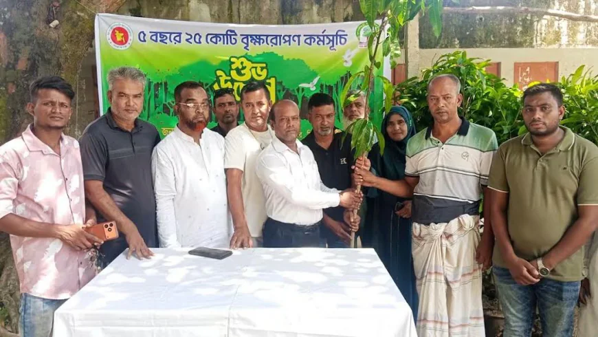 সিরাজগঞ্জের বিভিন্ন শিক্ষা প্রতিষ্ঠানে ৫ শতাধিক গাছের চারা রোপণ
