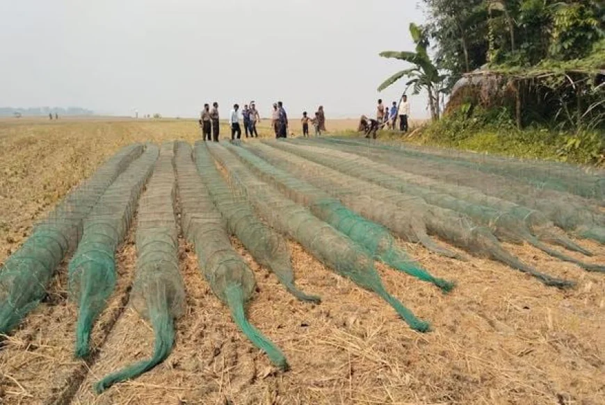 রাজবাড়ীতে মা ইলিশ সংরক্ষণ অভিযানে চায়না দুয়ারী জাল ধ্বংস